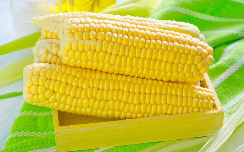 玉米期貨交易時間是幾點?日內交易怎