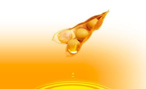 豆油期貨波動一個點多少錢？豆油期