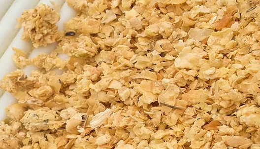 豆粕期貨行情分析，豆粕期貨的手續