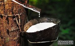 橡膠上漲仍可期，焦炭期現聯動，向