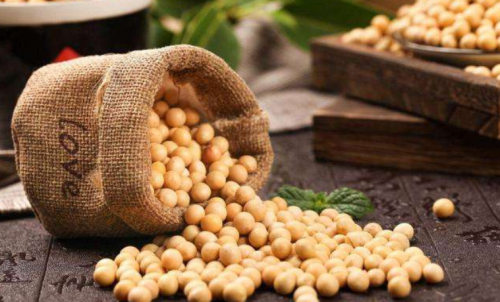 什么是豆粕期貨？豆粕期貨標的物介